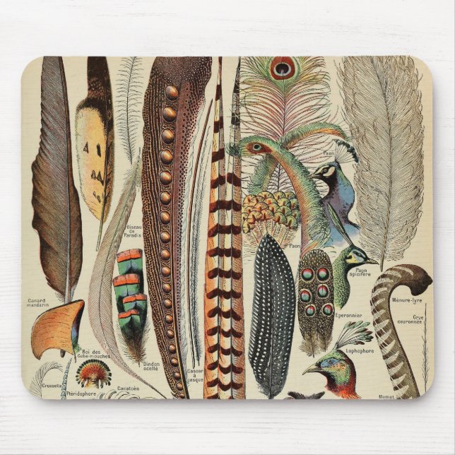 Tapis De Souris Feather Bird Wildlife Plumes d'antiquités (Devant)