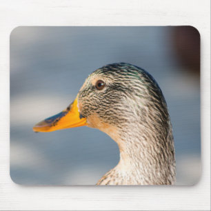 Tapis De Souris Femme Mallard