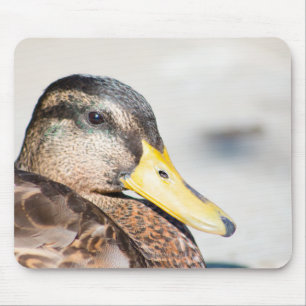 Tapis De Souris Femme Mallard