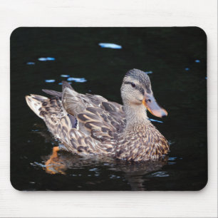 Tapis De Souris Femme Mallard Duck