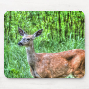 Tapis De Souris Femme Mule Deer sur Ranch Faune Photo