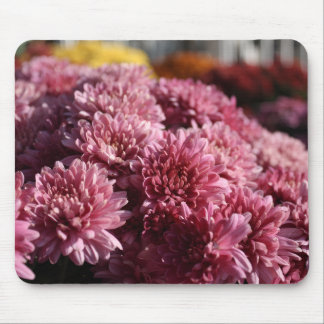 Tapis De Souris FEMMES roses photo magnifique