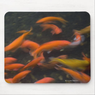 Tapis De Souris Feng Shui croient que des poissons de koi portent