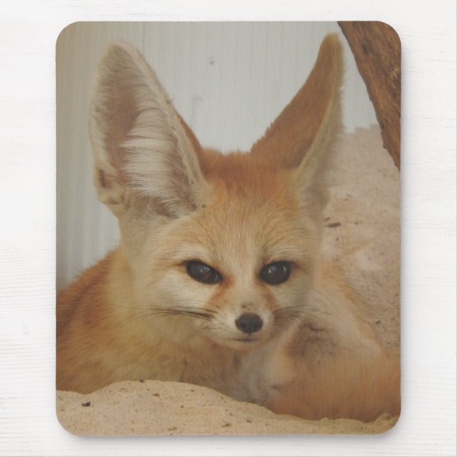 Tapis De Souris Fennec Fox (Devant)
