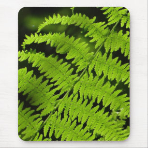 Tapis De Souris Ferme verte