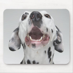 Tapis De Souris Fermez-vous d'un chien dalmatien