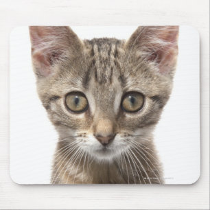 Tapis De Souris Fermez-vous vers le haut du portrait d'un chaton