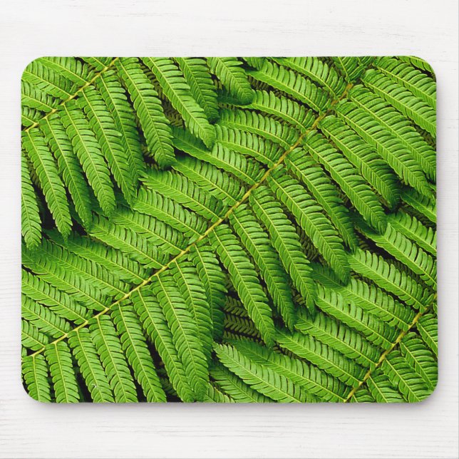 Tapis De Souris Fern Feuille (Devant)