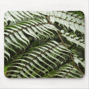 Tapis De Souris Fern Fronds II Dark Green Nature