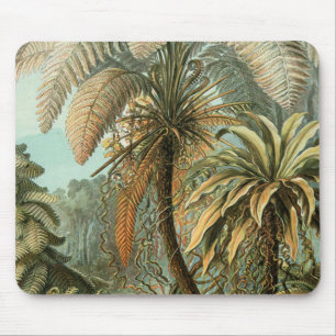 Tapis De Souris Ferns Palm Tree Antiquité Botanique Ferns Art
