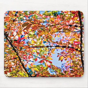 Tapis De Souris Feuille