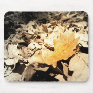 Tapis De Souris Feuille d'automne