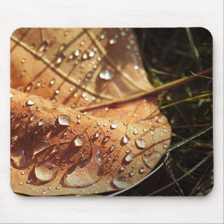 Tapis De Souris Feuille d'automne humide - Mousepad