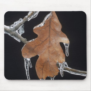 Tapis De Souris Feuille de chêne avec glaçons après une tempête de
