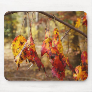 Tapis De Souris Feuille de chute