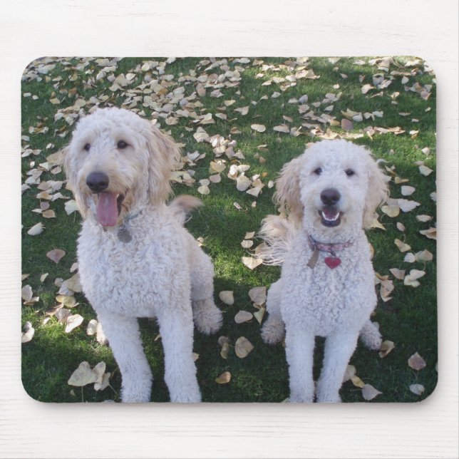 Tapis De Souris Feuille de GoldenDoodles en automne (Devant)