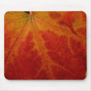 Tapis De Souris Feuille d'érable rouge Abstraite Automne Photograp