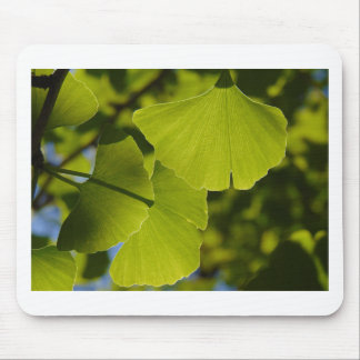 Tapis De Souris Feuille ensoleillé de Ginkgo