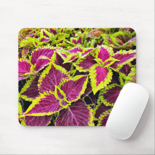 Tapis De Souris Feuilles colorées de Coleus