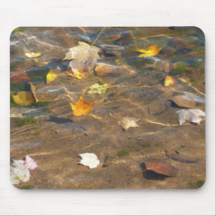 Tapis De Souris Feuilles d'automne dans l'étang de l'eau Photograp