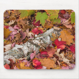 Tapis De Souris Feuilles de érable d'automne couvrent l'écorce de