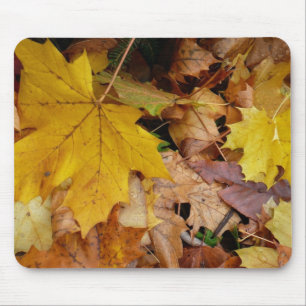 Tapis De Souris Feuilles de Érable Tombées Jaune Automne Nature