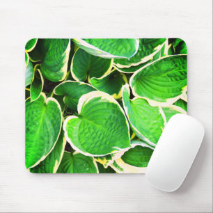 Tapis De Souris Feuilles Hosta