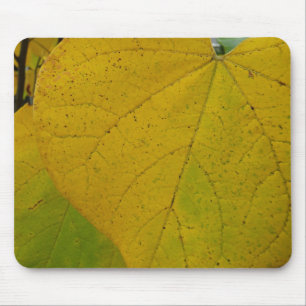 Tapis De Souris Feuilles Jaunes de Cercis Photographie de la Natur
