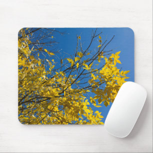 Tapis De Souris Feuilles jaunes sur les Ash Tree de l'automne Phot