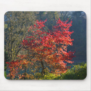 Tapis De Souris Feuilles rouges