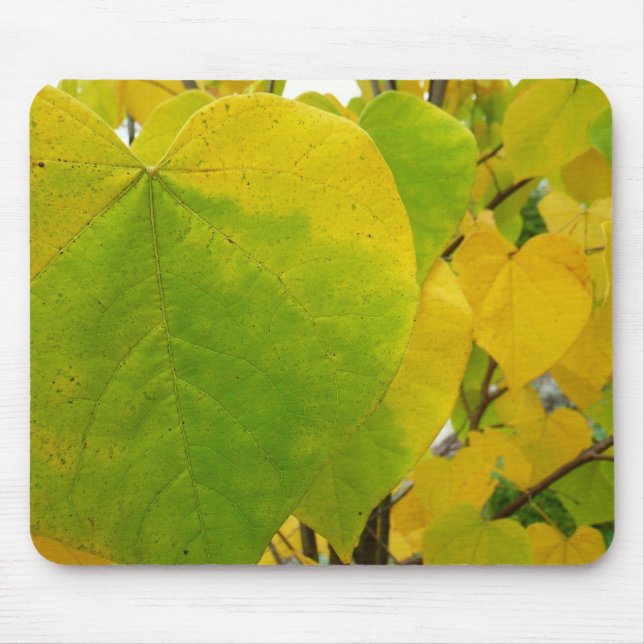Tapis De Souris Feuilles rouges jaunes et verts (Devant)