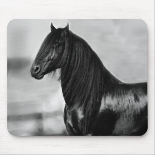 Tapis De Souris Fière Friesienne cheval d'étalon noir