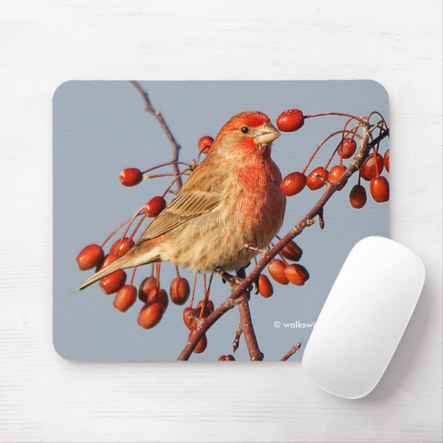Tapis De Souris Finch maison avec Berries Hawthorn (Avec souris)