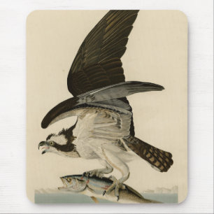 Tapis De Souris Fish Hawk, Osprey, d'Audubon's Birds of America