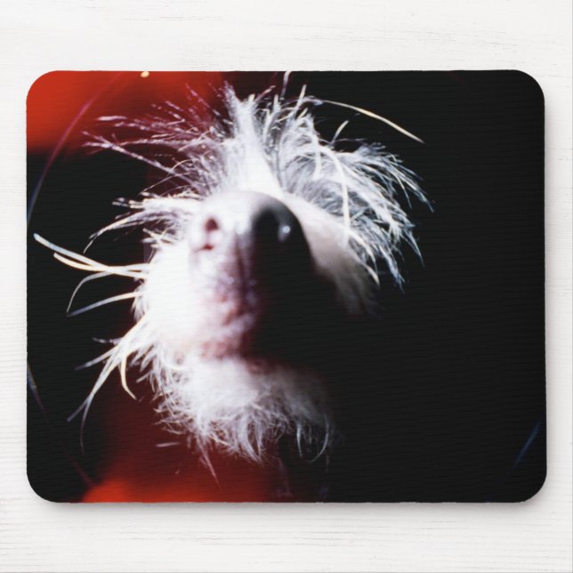 Tapis De Souris Fisheye crêté chinois (Devant)