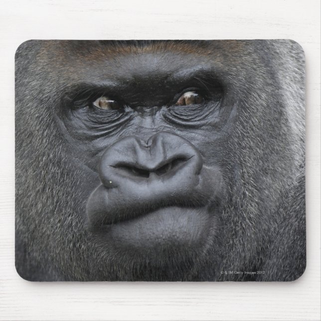 Tapis De Souris Flachlandgorilla, Gorilla (Devant)
