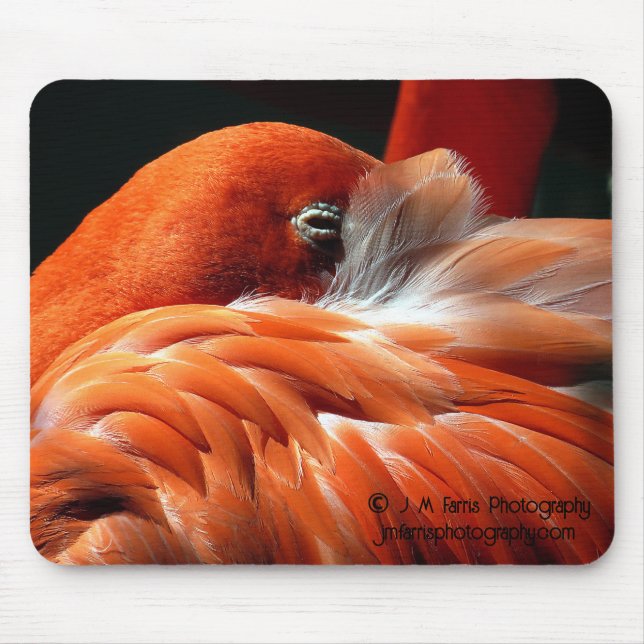 Tapis De Souris Flamant rose (Devant)