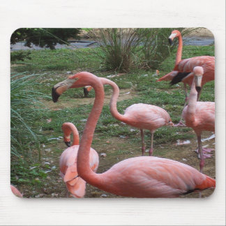 Tapis De Souris Flamant rose Mousepad