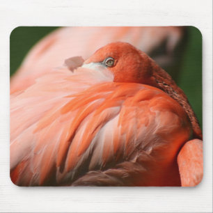 Tapis De Souris Flamant rose Mousepad