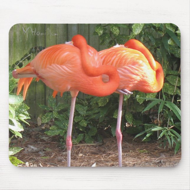 Tapis De Souris Flamants roses (Devant)