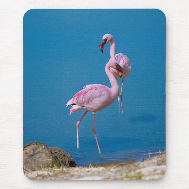 Tapis De Souris Flamants roses roses au lac (Devant)