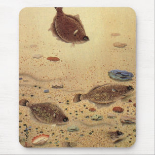 Tapis De Souris Flets ou poissons plats, vie marine océanique vint