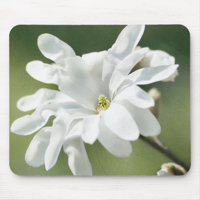 Tapis De Souris Fleur blanche de Magnolia (Devant)