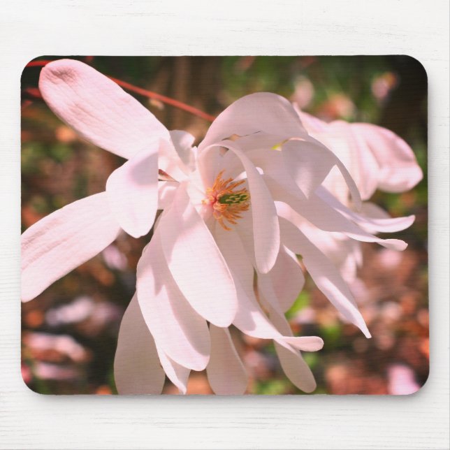 Tapis De Souris Fleur blanche de Magnolia (Devant)