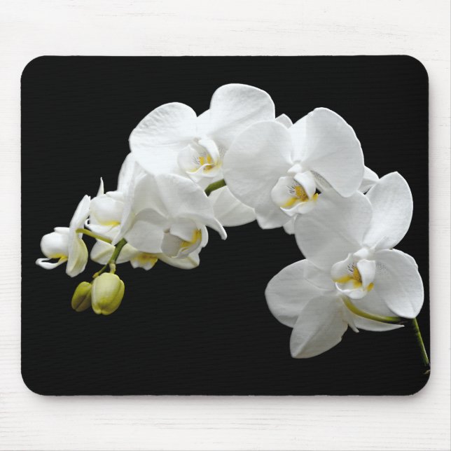 Tapis De Souris Fleur blanche d'orchidée (Devant)