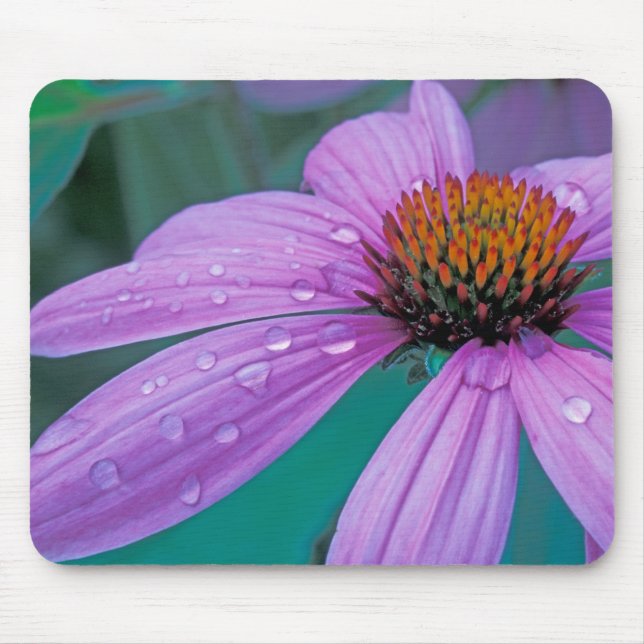 Tapis De Souris Fleur de cône pourpre avec gouttes d'eau (Devant)