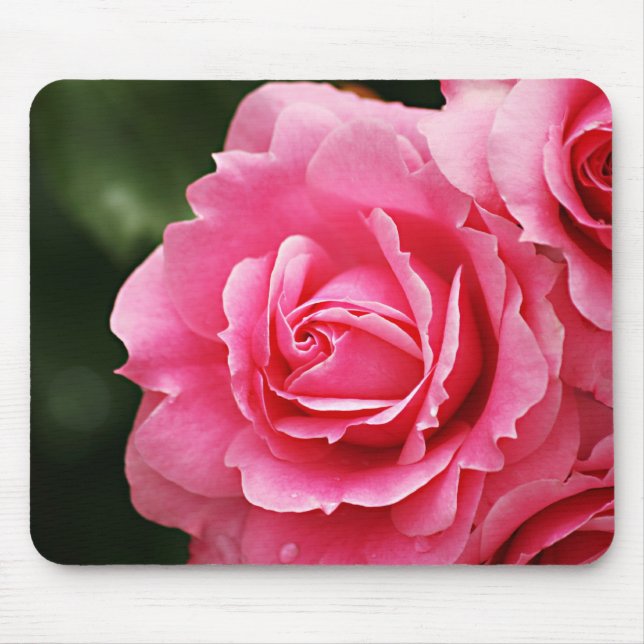 Tapis De Souris Fleur de fleur de rose de rose (Devant)
