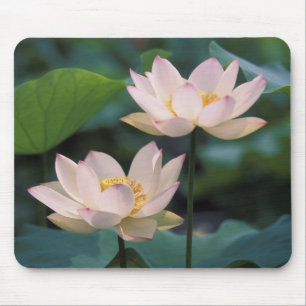 Tapis De Souris Fleur de Lotus en fleurs, Chine