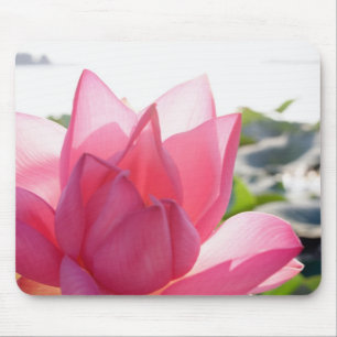 Tapis De Souris fleur de lotus [Nelumbo speciosum] en pleine