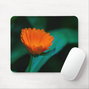 Tapis De Souris Fleur de marguerite orange